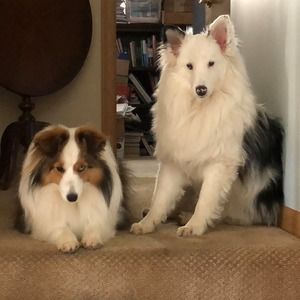 Meet your Posher, Nancy